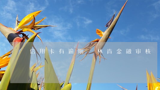 信用卡有逾期 林肯金融审核 信用卡有逾期 林肯金融审核